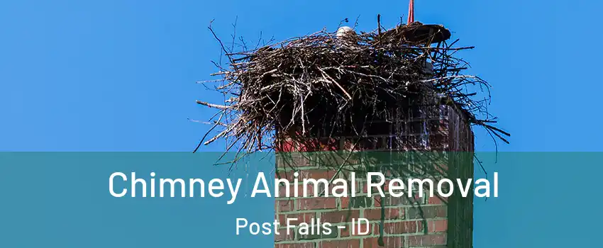  Chimney Animal Removal Post Falls - ID