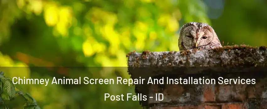  Chimney Animal Screen Repair And Installation Services Post Falls - ID
