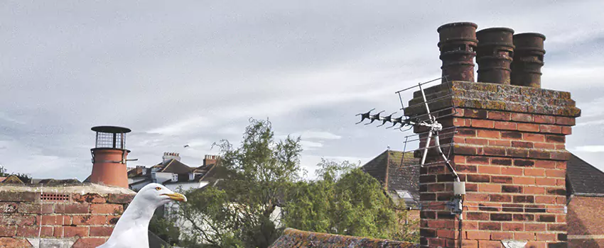 Chimney Cleaning And Restoration in Post Falls, Idaho