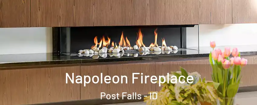  Napoleon Fireplace Post Falls - ID